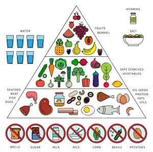 paleo-diet-pyramid (1)